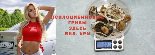 PSILOCYBIN Осташков