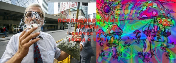 PSILOCYBIN Осташков