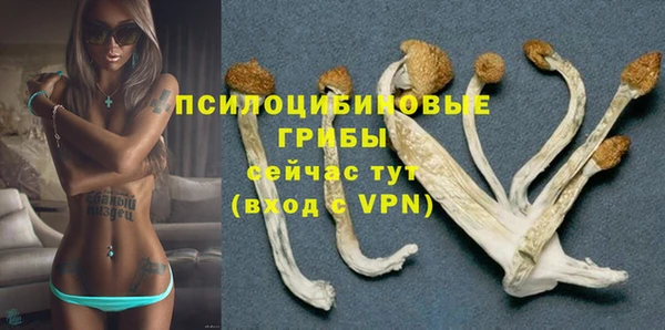 гидра Осинники
