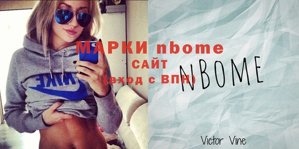 СК Пересвет