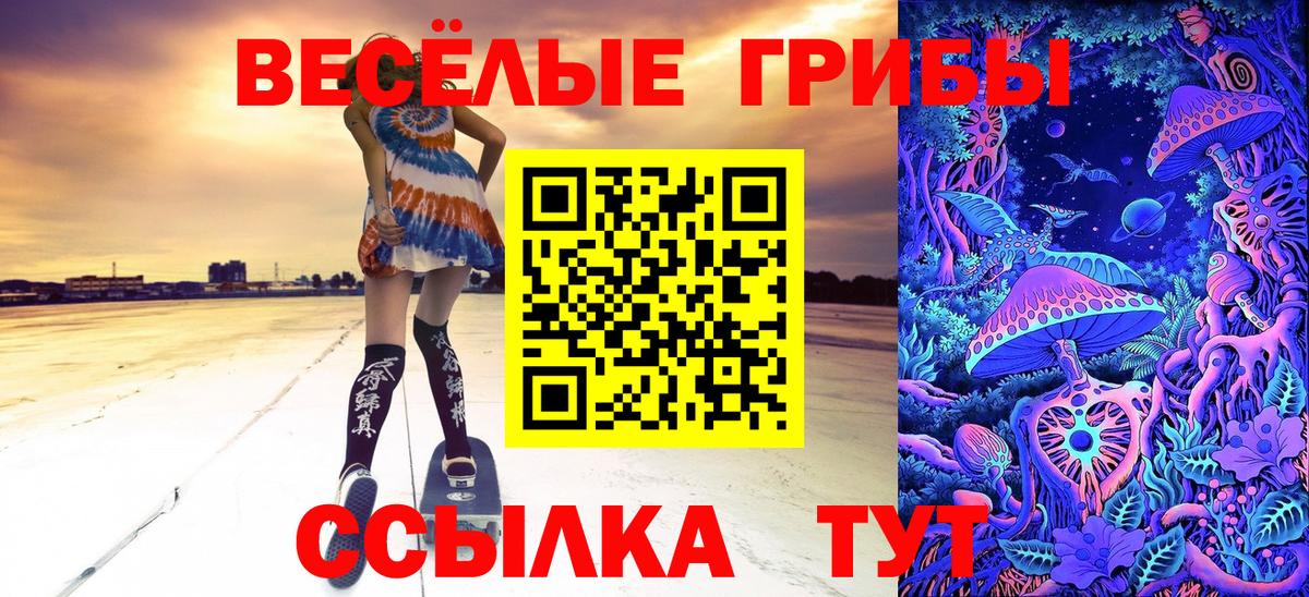 закладка  Псилоцибиновые грибы Psilocybine cubensis  Вход с VPN  Галлюциногенные грибы мицелий  Торжок 