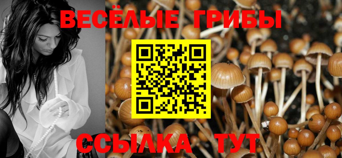  КОКАИН Торжок